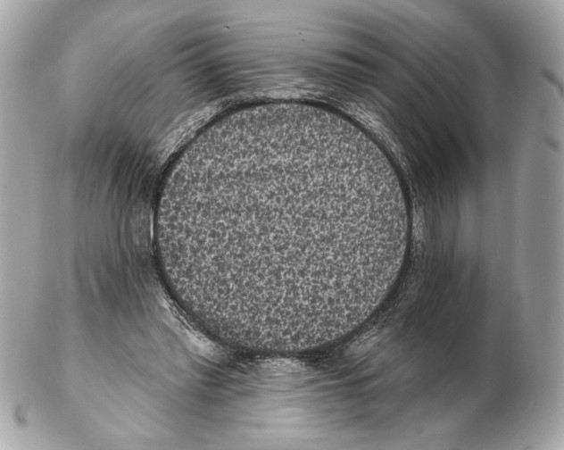 X0000102400397200808291450