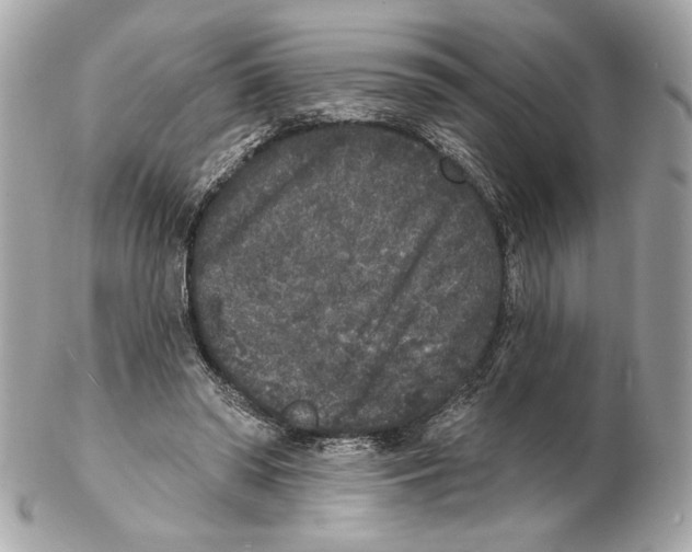X0000102400398200808291450