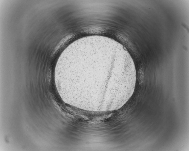 X0000102400400200808291450