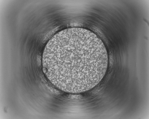X0000102400401200808291450