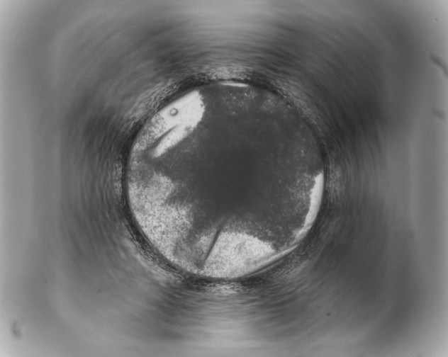 X0000102400402200808291450