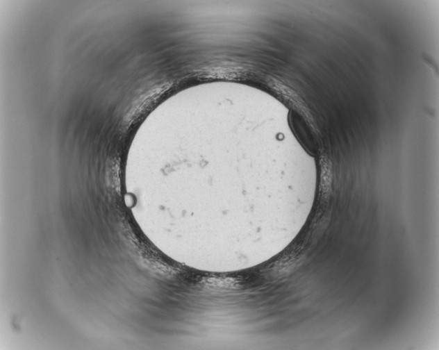 X0000102400403200808291450