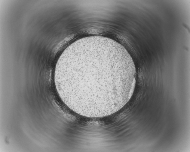 X0000102400404200808291450