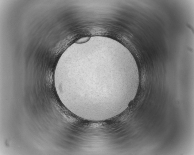 X0000102400405200808291450