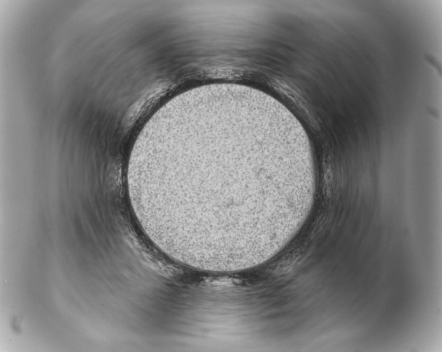 X0000102400407200808291450