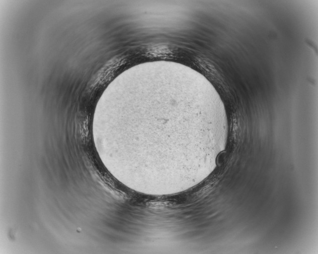 X0000102400408200808291450