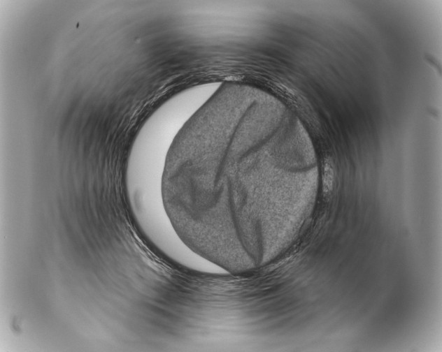 X0000102400409200808291450