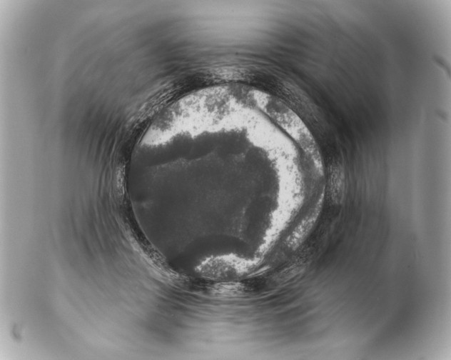 X0000102400410200808291450