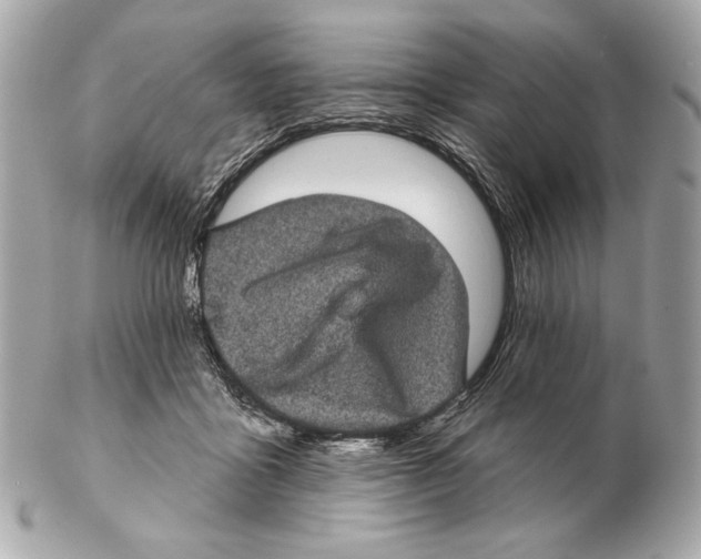 X0000102400411200808291450