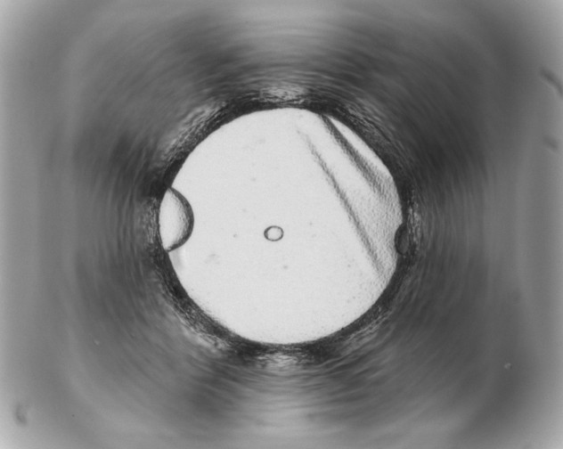 X0000102400412200808291450