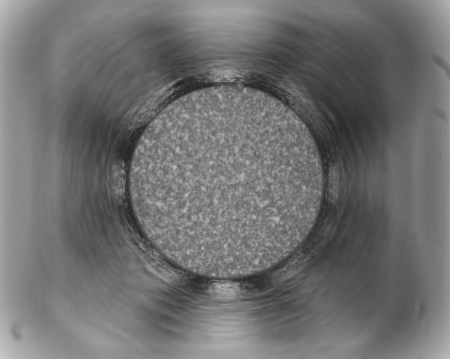 X0000102400413200808291450