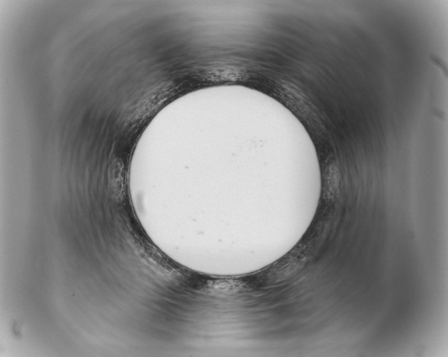 X0000102400414200808291450