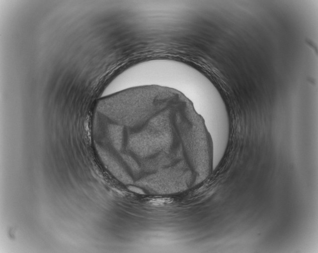 X0000102400415200808291450