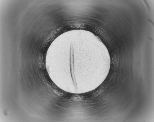 X0000102400416200808291450