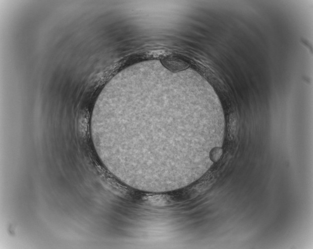 X0000102400417200808291450