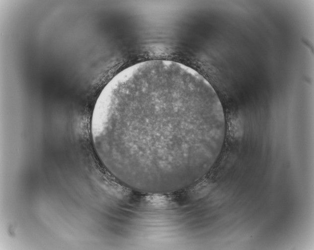 X0000102400419200808291450