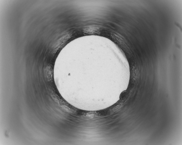 X0000102400420200808291450
