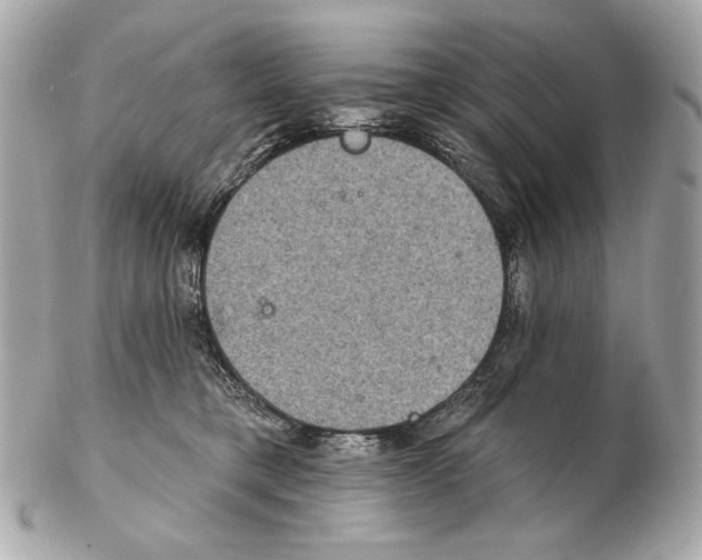 X0000102400421200808291450