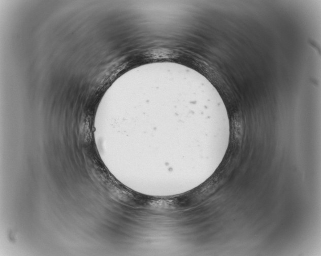 X0000102400422200808291450