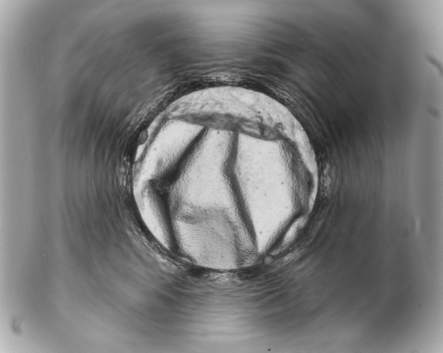 X0000102400424200808291450