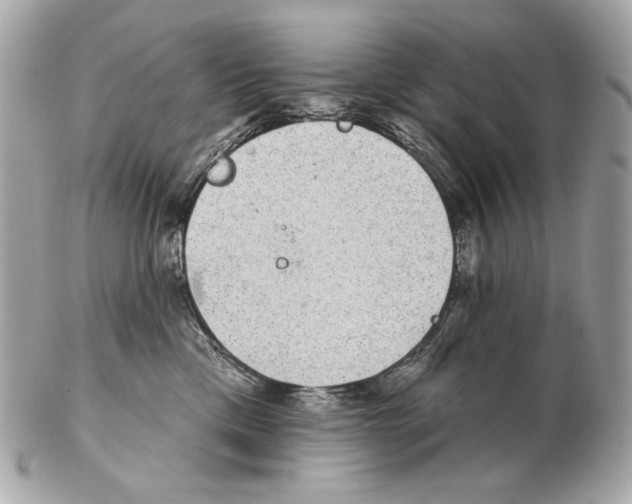 X0000102400425200808291450