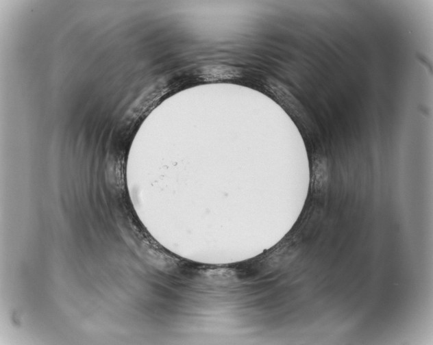 X0000102400426200808291450