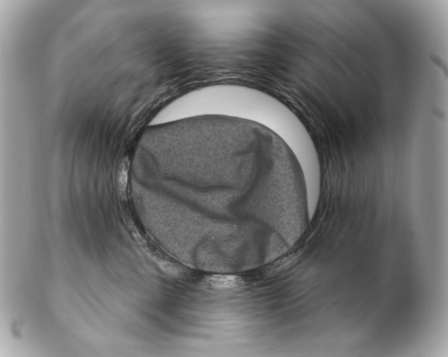 X0000102400427200808291450