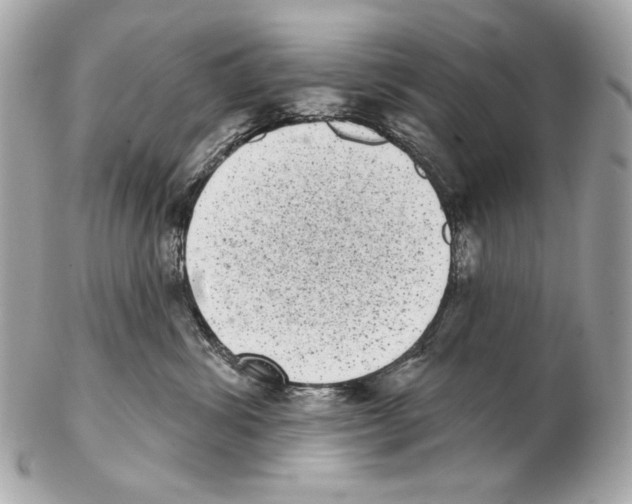 X0000102400428200808291450