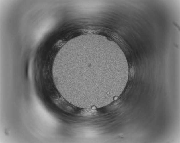 X0000102400429200808291449