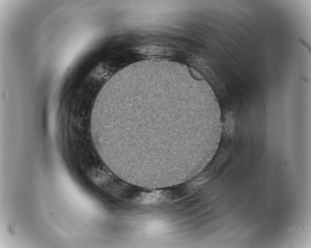 X0000102400430200808291449
