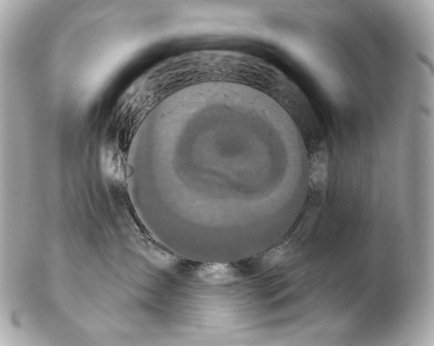 X0000102400431200808291449