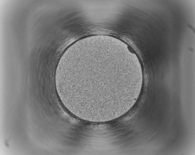 X0000102400433200808291449