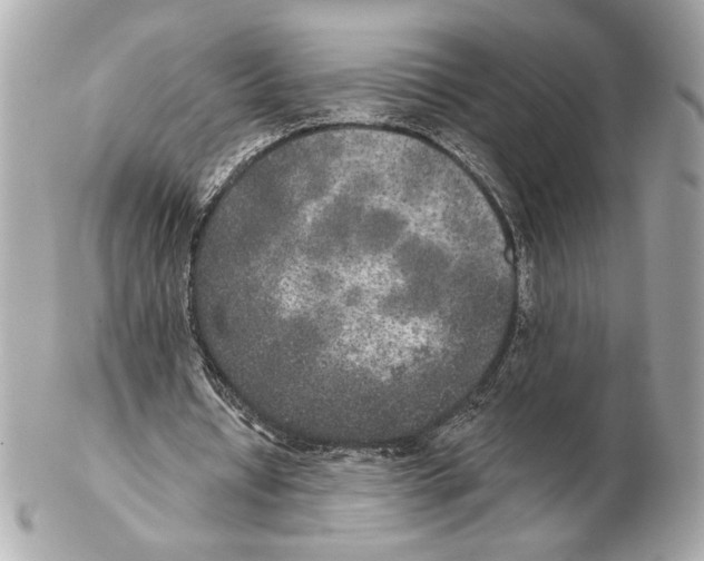 X0000102400434200808291449
