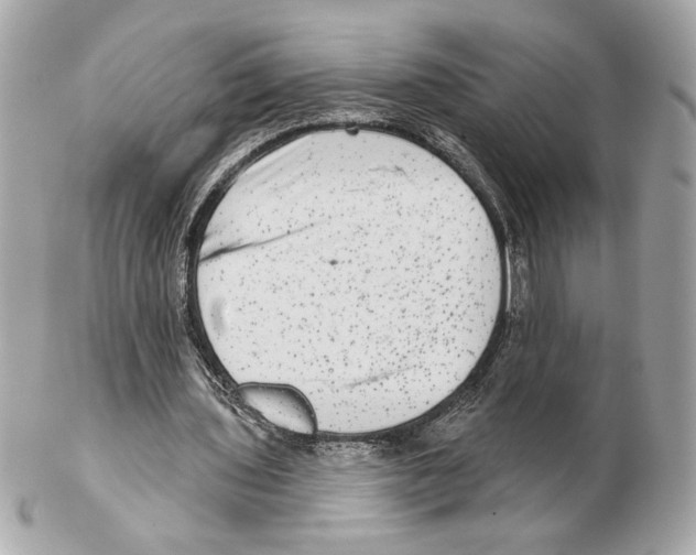 X0000102400435200808291449