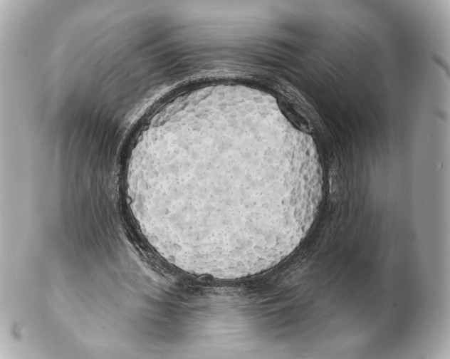 X0000102400436200808291449