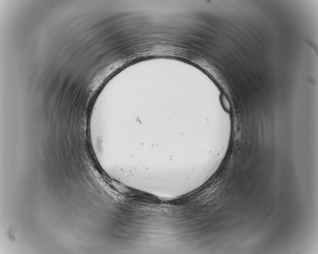 X0000102400437200808291449