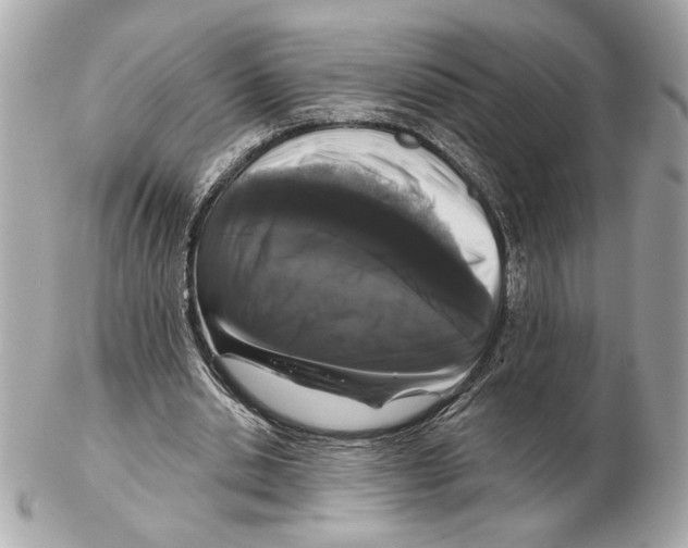 X0000102400438200808291449