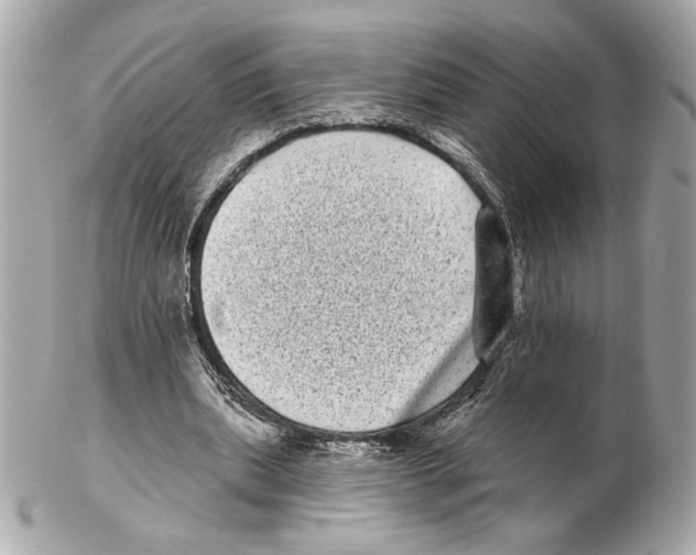 X0000102400439200808291449
