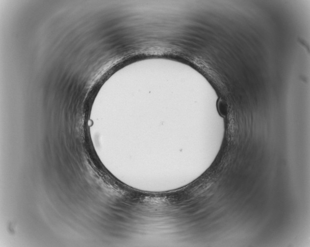 X0000102400440200808291449