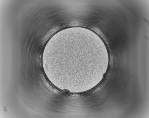 X0000102400441200808291449