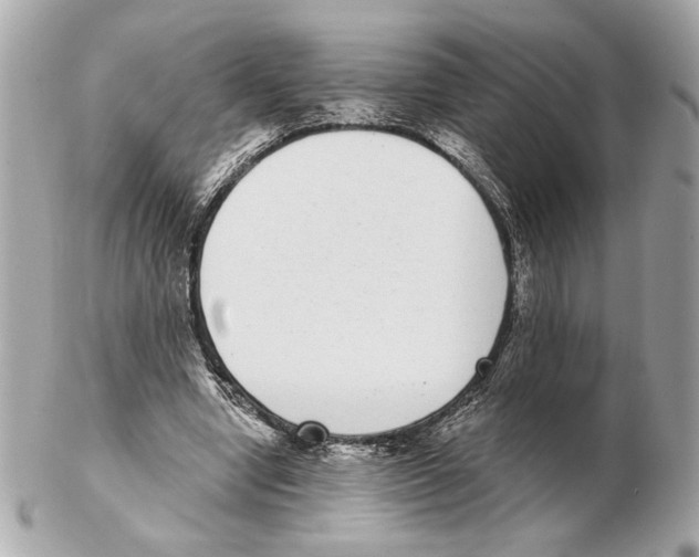 X0000102400442200808291449