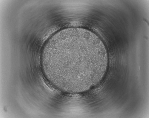 X0000102400443200808291449