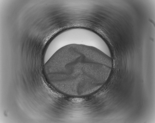 X0000102400444200808291449