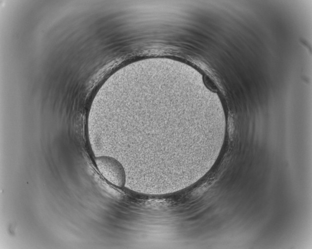 X0000102400445200808291449