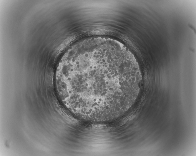 X0000102400446200808291449