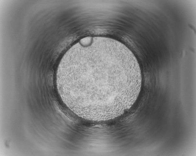 X0000102400447200808291449