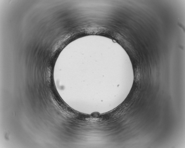 X0000102400448200808291449