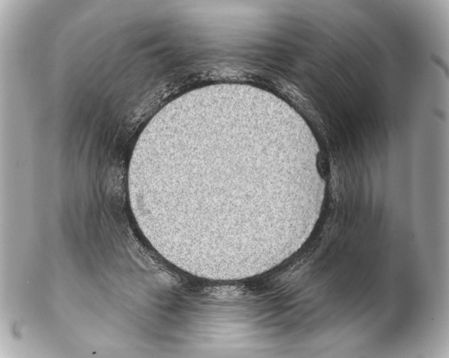 X0000102400449200808291449