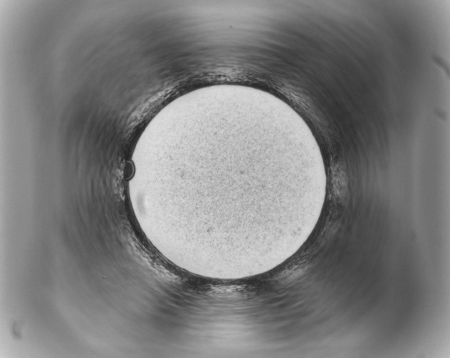 X0000102400450200808291449