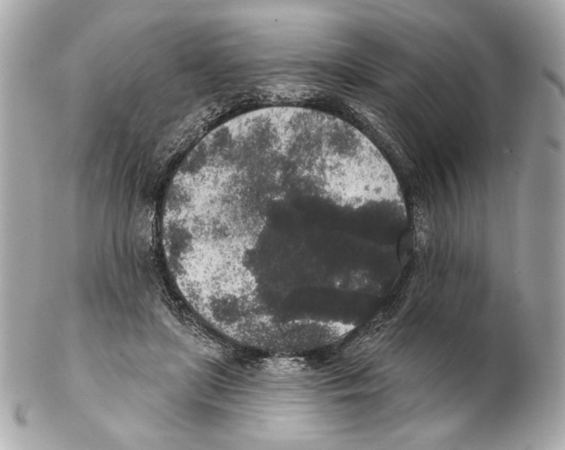 X0000102400451200808291449